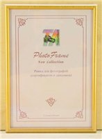 trans